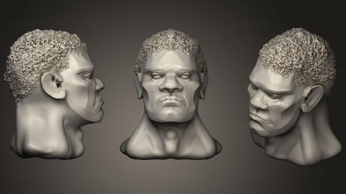 3D модель Мужская голова (STL)